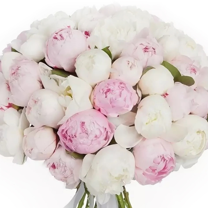 Букет MIX из 51 белого и розового пиона