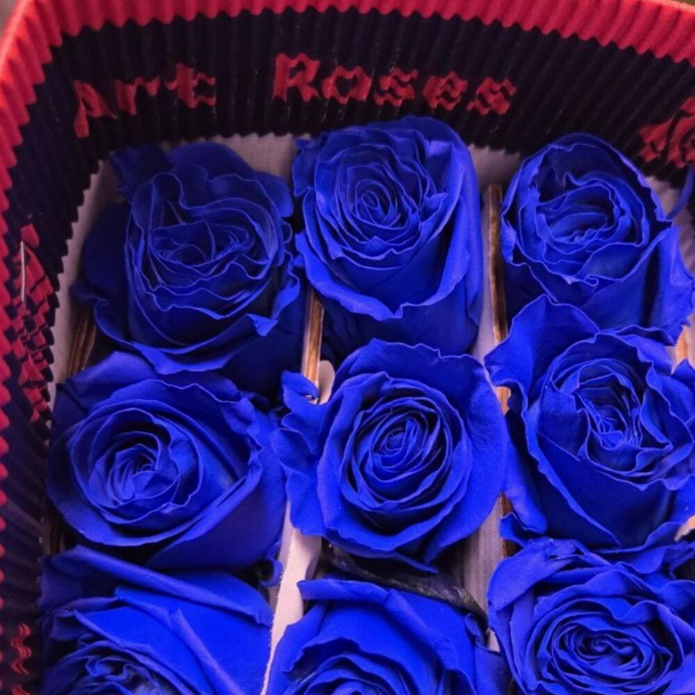 Букет из 11 синих роз Premium