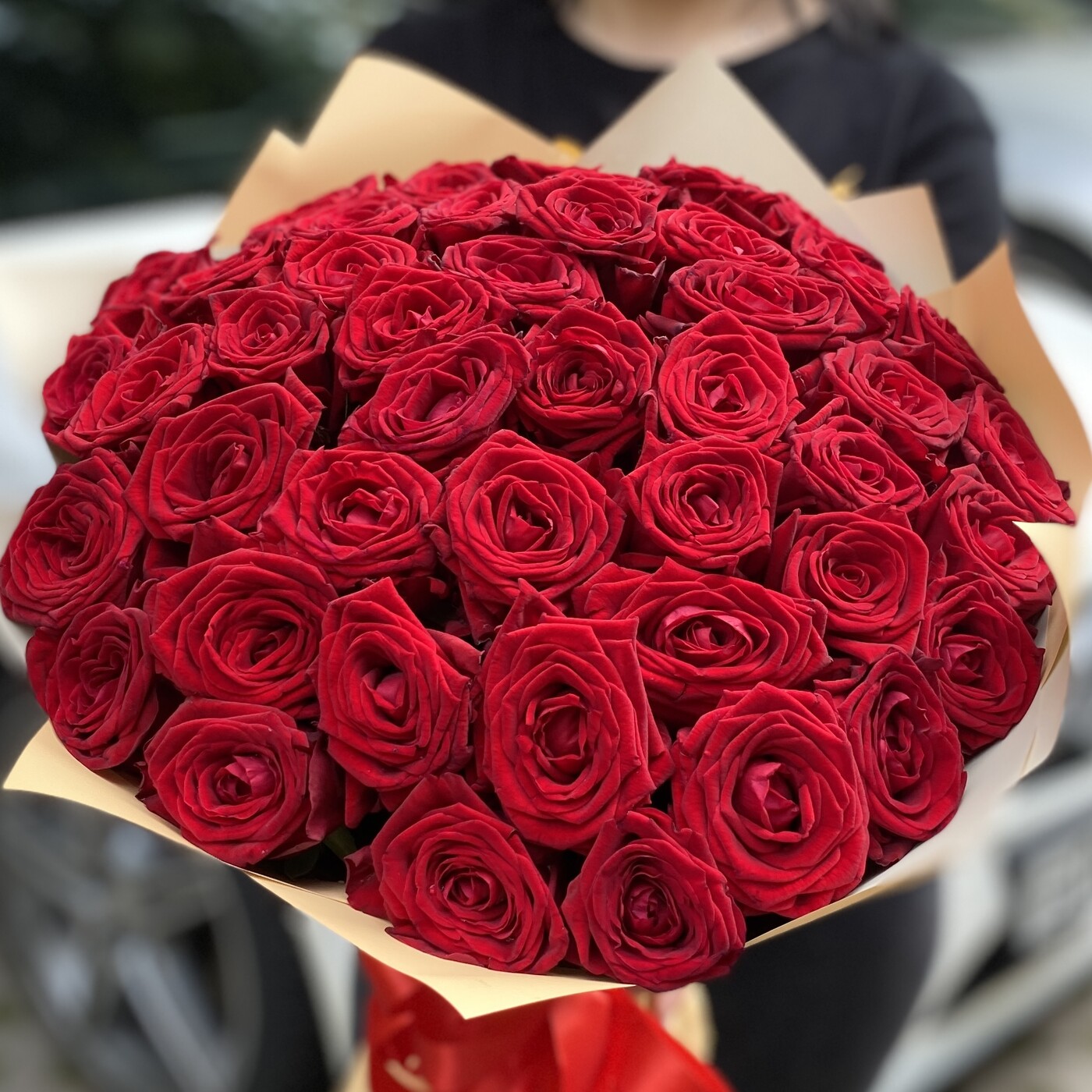 51 красная роза Premium 50 см.