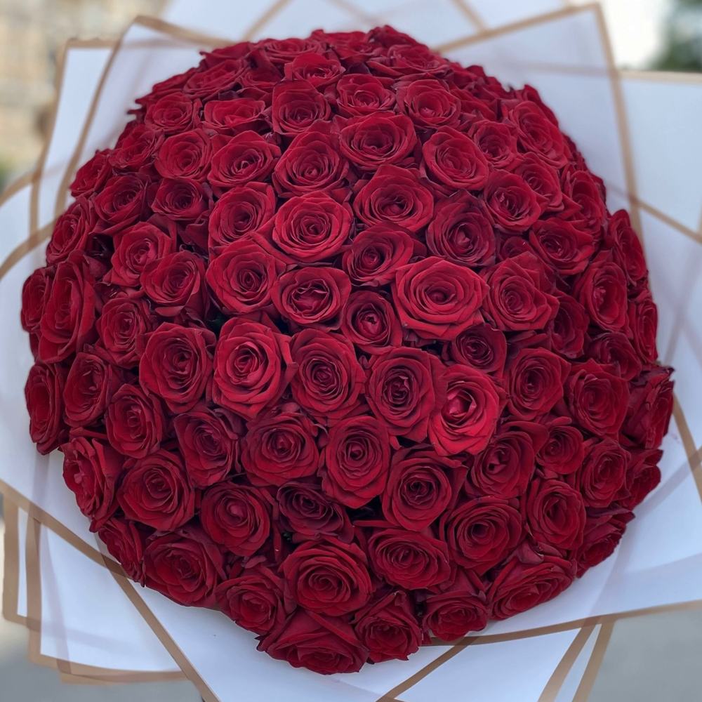 101 красная роза Premium