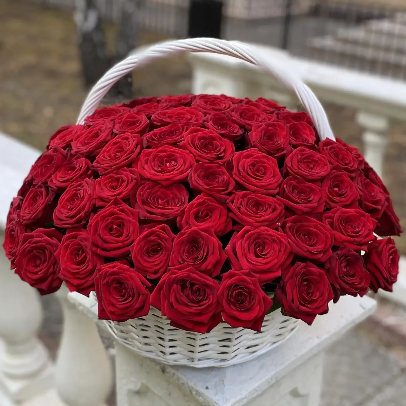 Корзина из 101 красной розы